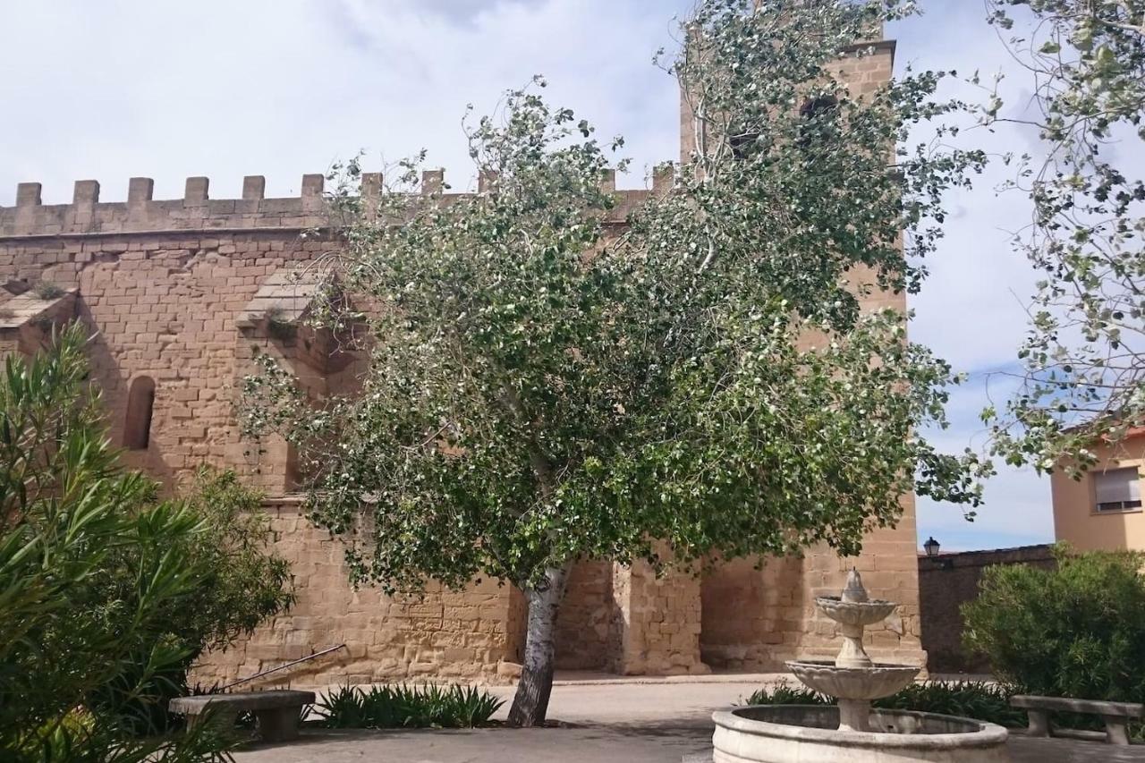 شقة La Gatera 1D Bajo Aragon - Matarrana Fabara المظهر الخارجي الصورة